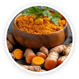 Turmeric root extract